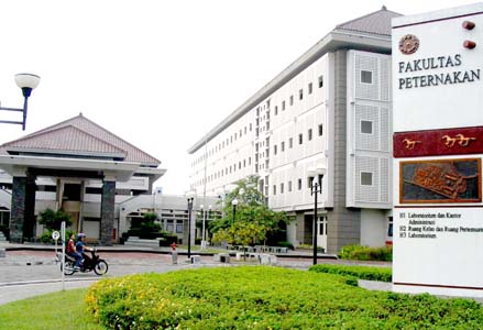 fakultas-peternakan-universitas-gadjah-mada