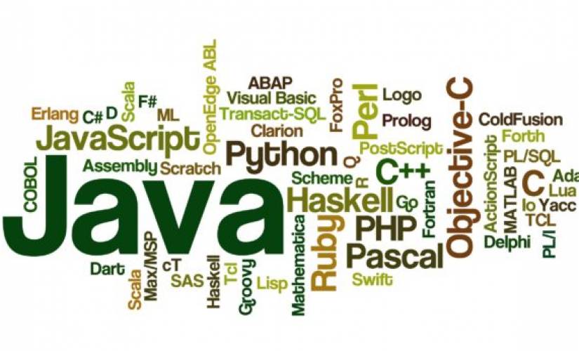 pengalaman mahasiswa it